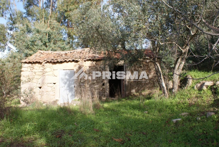 Terreno para Venda em Penamacor Foto 20