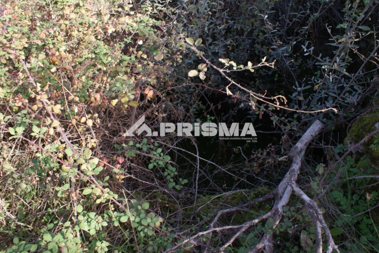 Terreno para Venda em Penamacor Foto 18