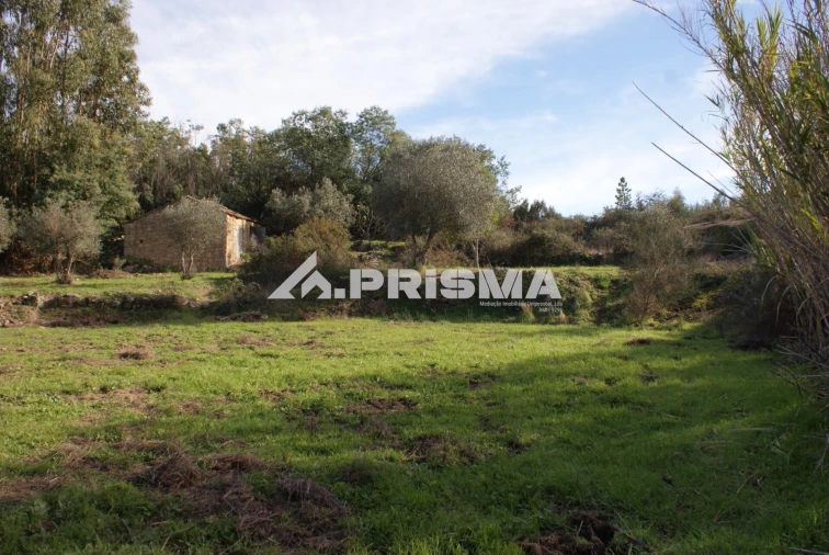 Terreno para Venda em Penamacor Foto 15