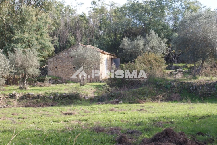 Terreno para Venda em Penamacor Foto 13