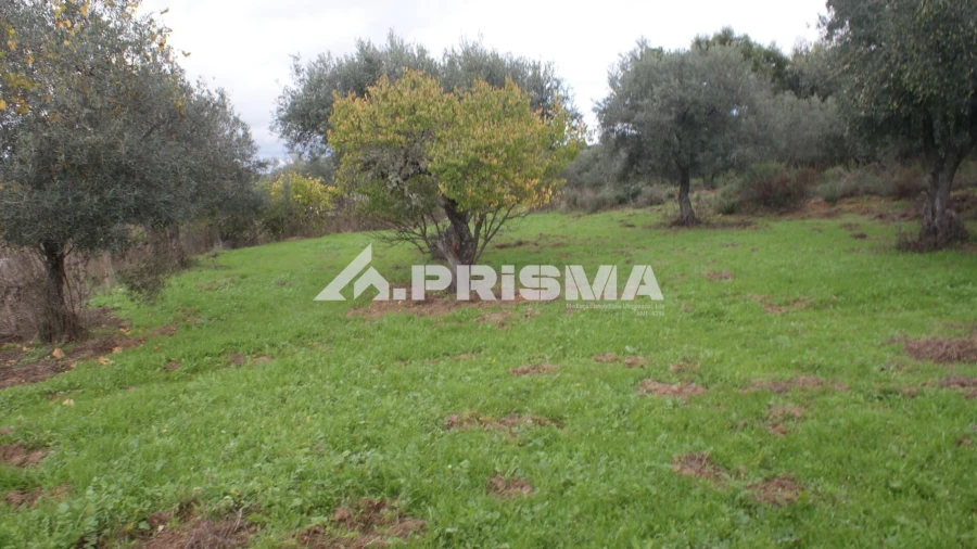 Terreno para Venda em Penamacor