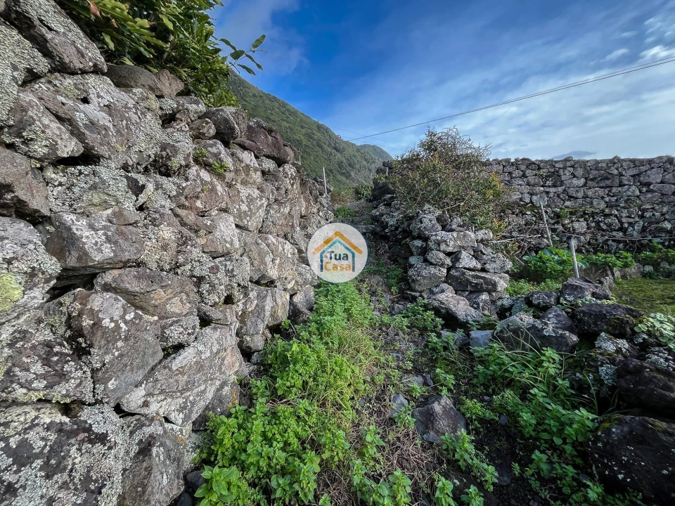 Terreno para Venda em Ribeira Seca Foto 22