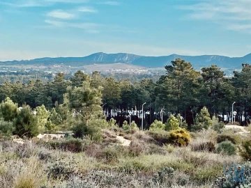 Terreno para Venda em Sesimbra (Castelo)