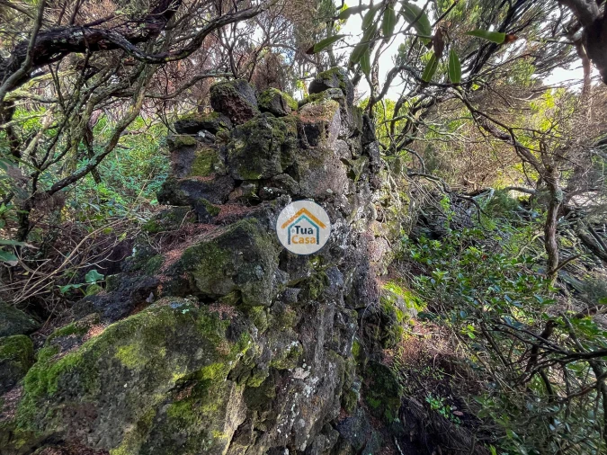 Terreno para Venda em Santo Amaro Foto 10