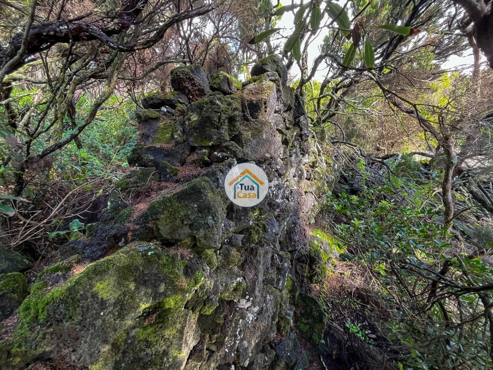 Terreno para Venda em Santo Amaro Foto 10