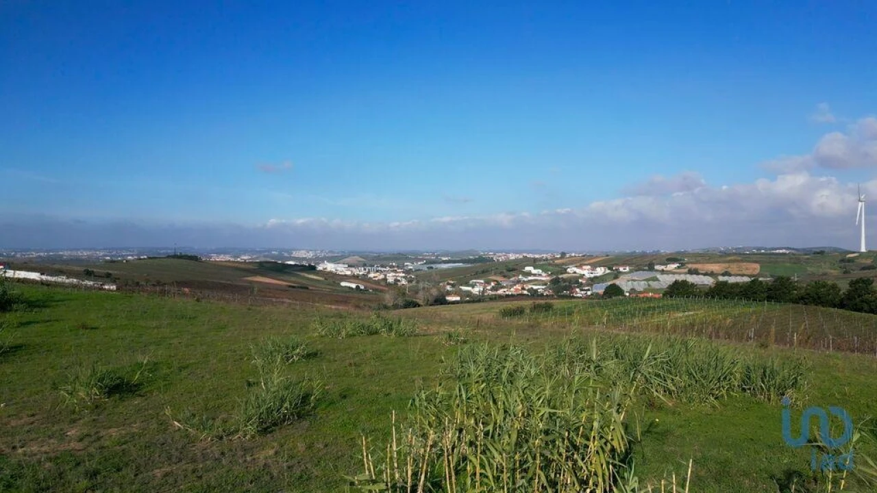 Terreno para Venda em Freiria Foto 13