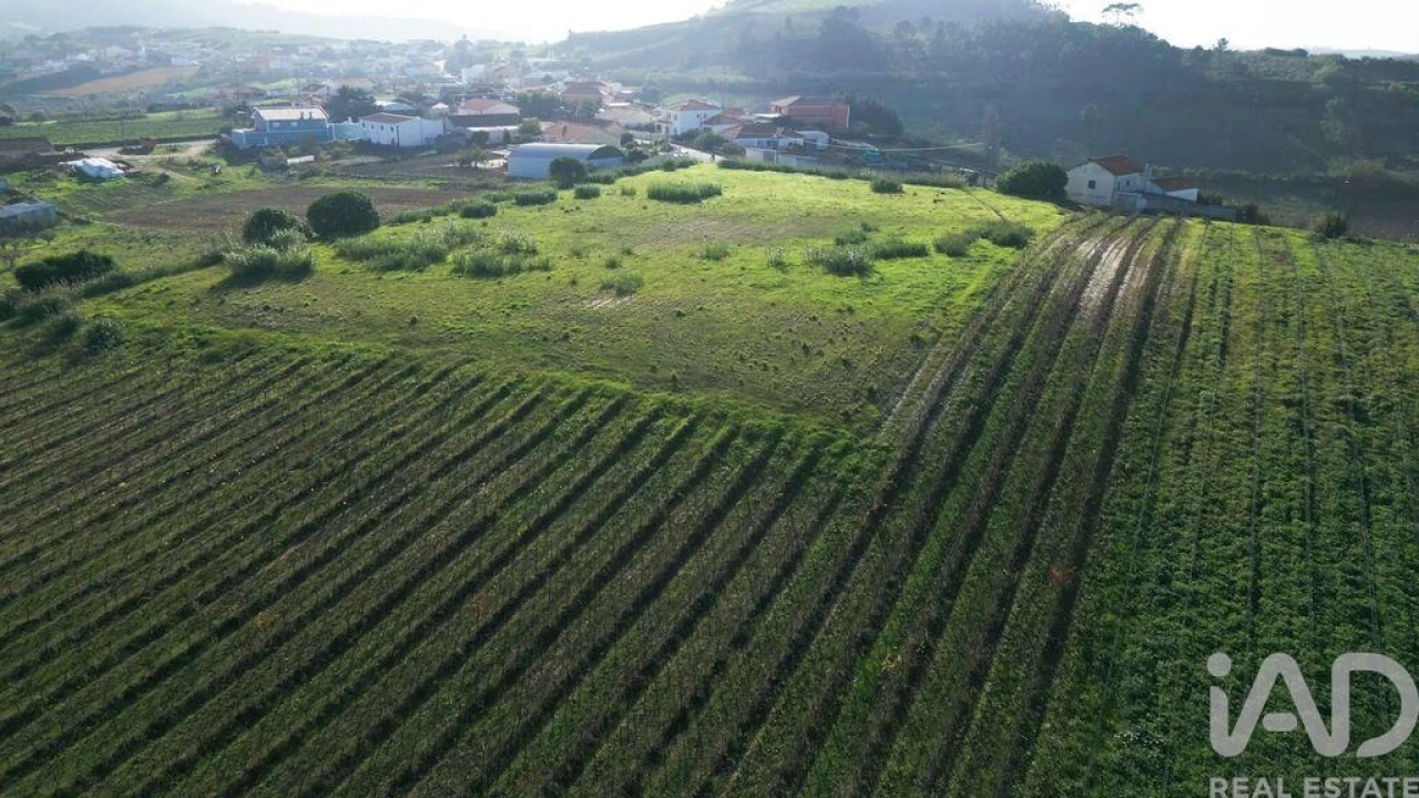 Terreno para Venda em Freiria Foto 19