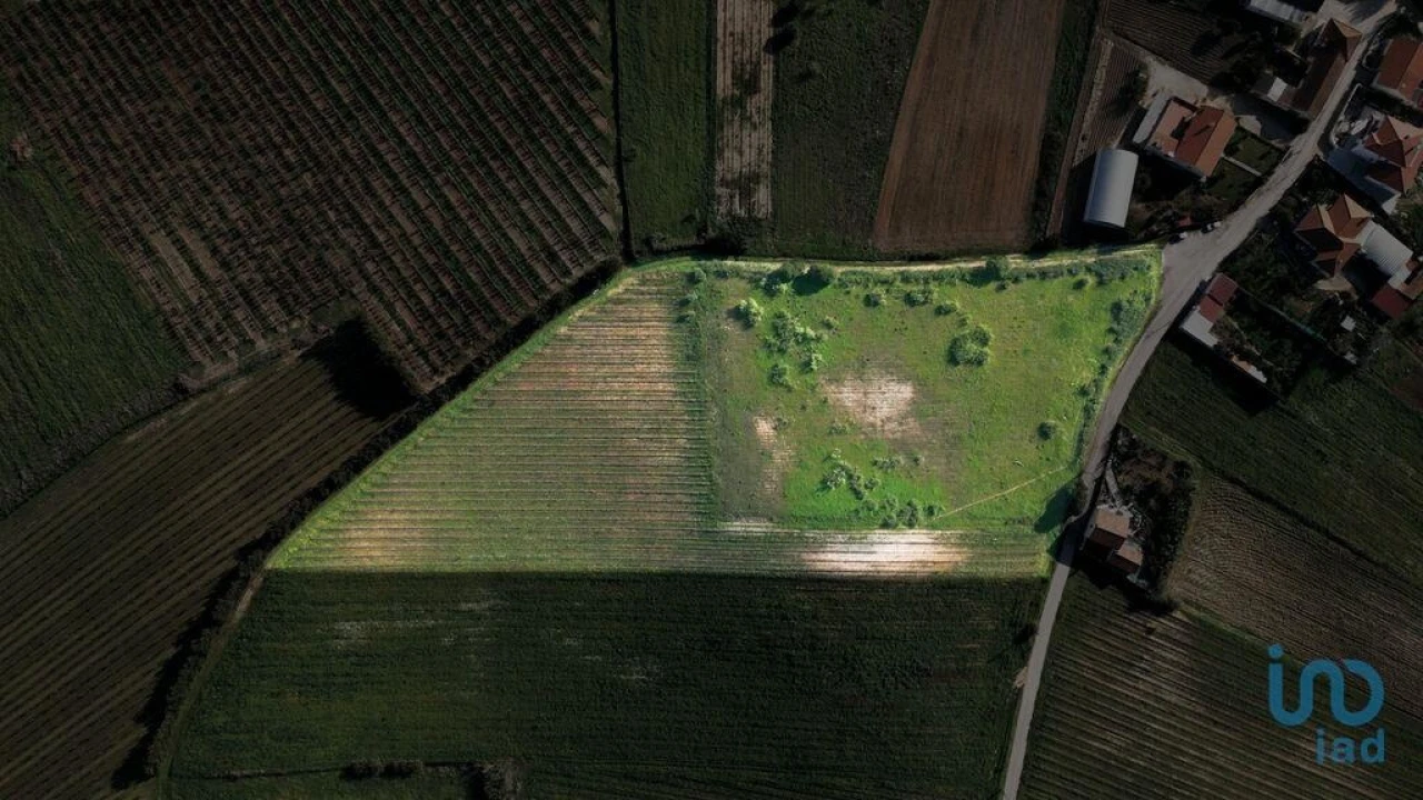 Terreno para Venda em Freiria Foto 3