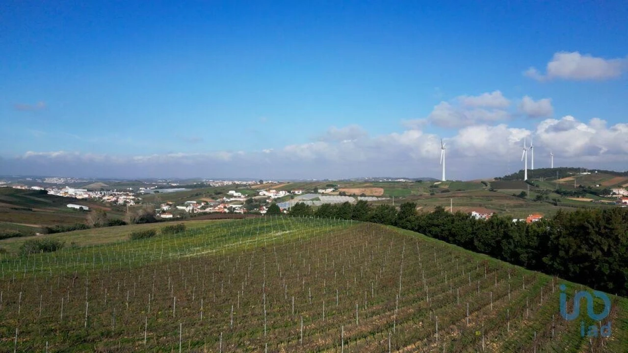 Terreno para Venda em Freiria Foto 14