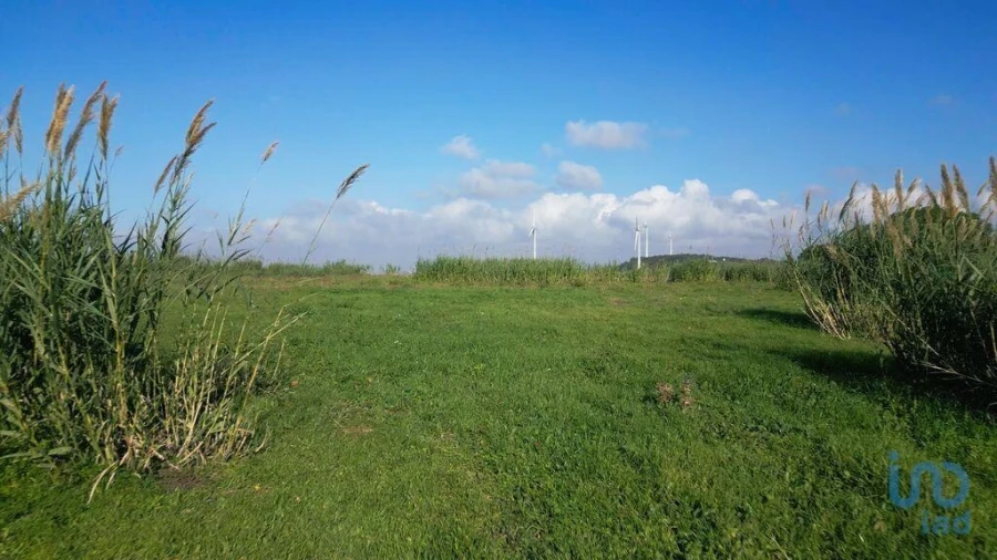 Terreno para Venda em Freiria Foto 12