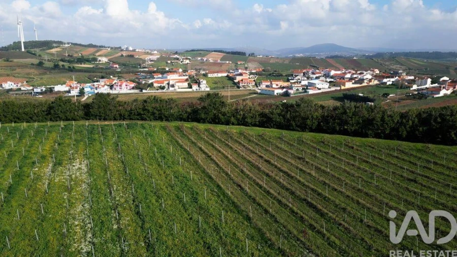 Terreno para Venda em Freiria Foto 21