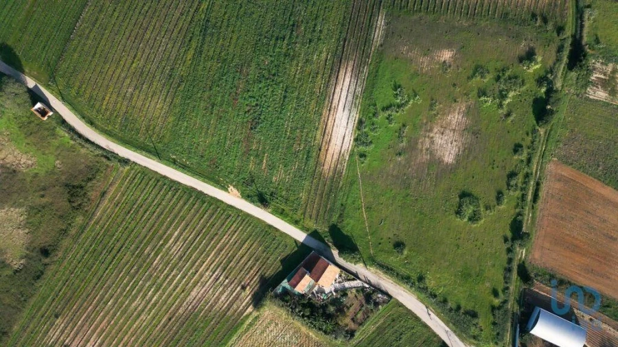Terreno para Venda em Freiria Foto 6