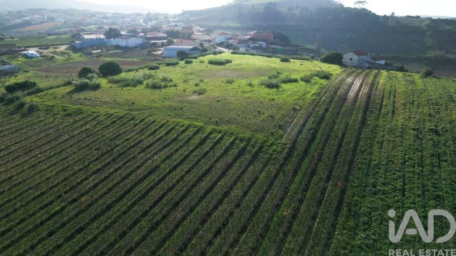 Terreno para Venda em Freiria Foto 19