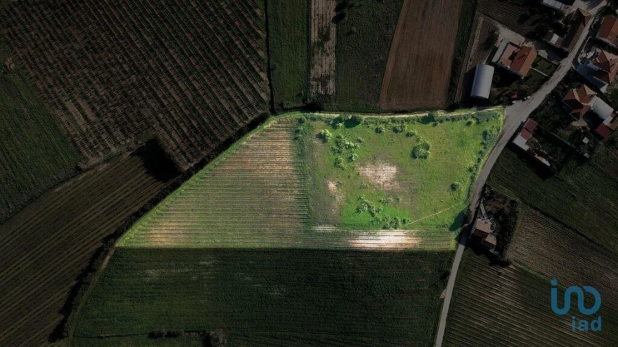 Terreno para Venda em Freiria Foto 3