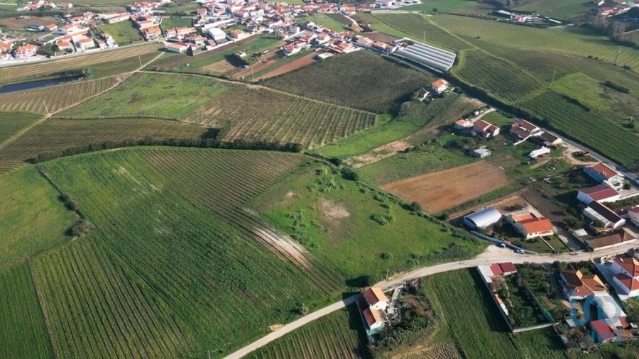 Terreno para Venda em Freiria Foto 11