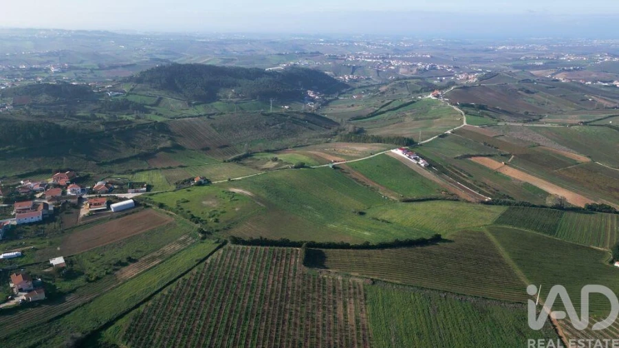 Terreno para Venda em Freiria Foto 22