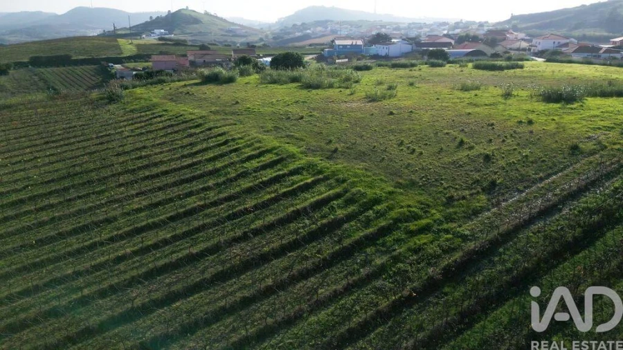 Terreno para Venda em Freiria Foto 18