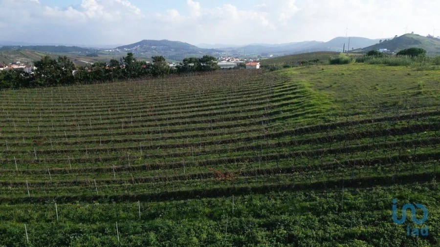 Terreno para Venda em Freiria Foto 7