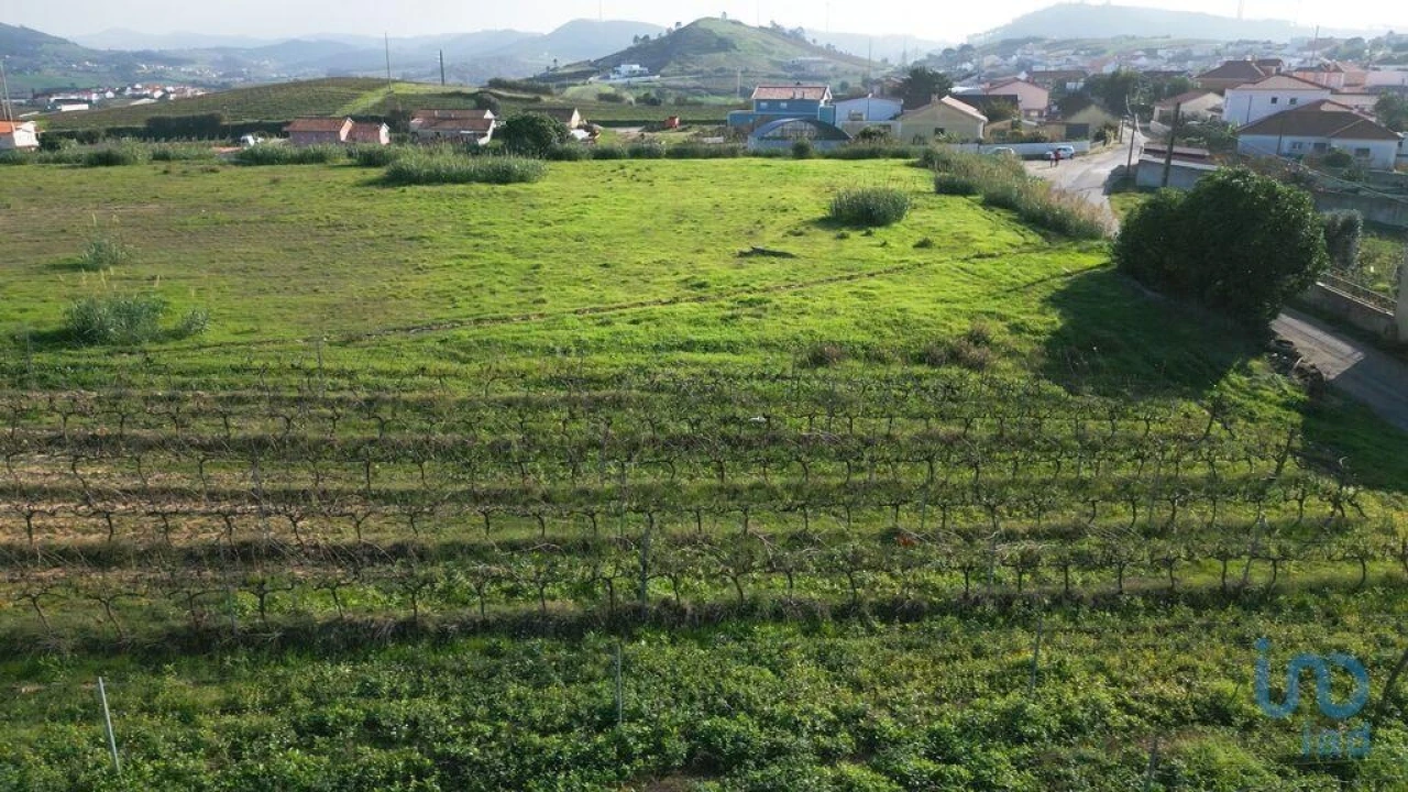 Terreno para Venda em Freiria Foto 2