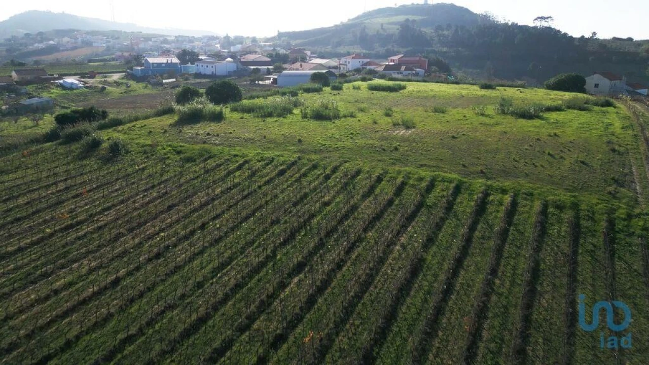 Terreno para Venda em Freiria Foto 9