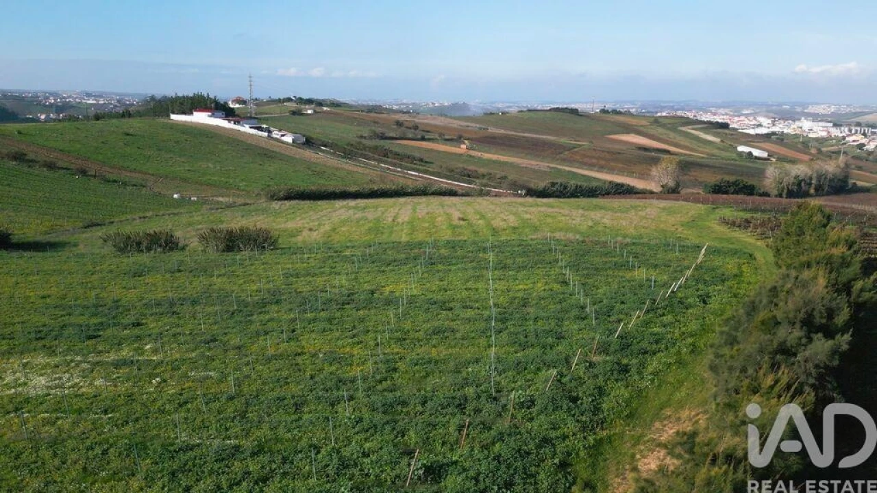 Terreno para Venda em Freiria Foto 16