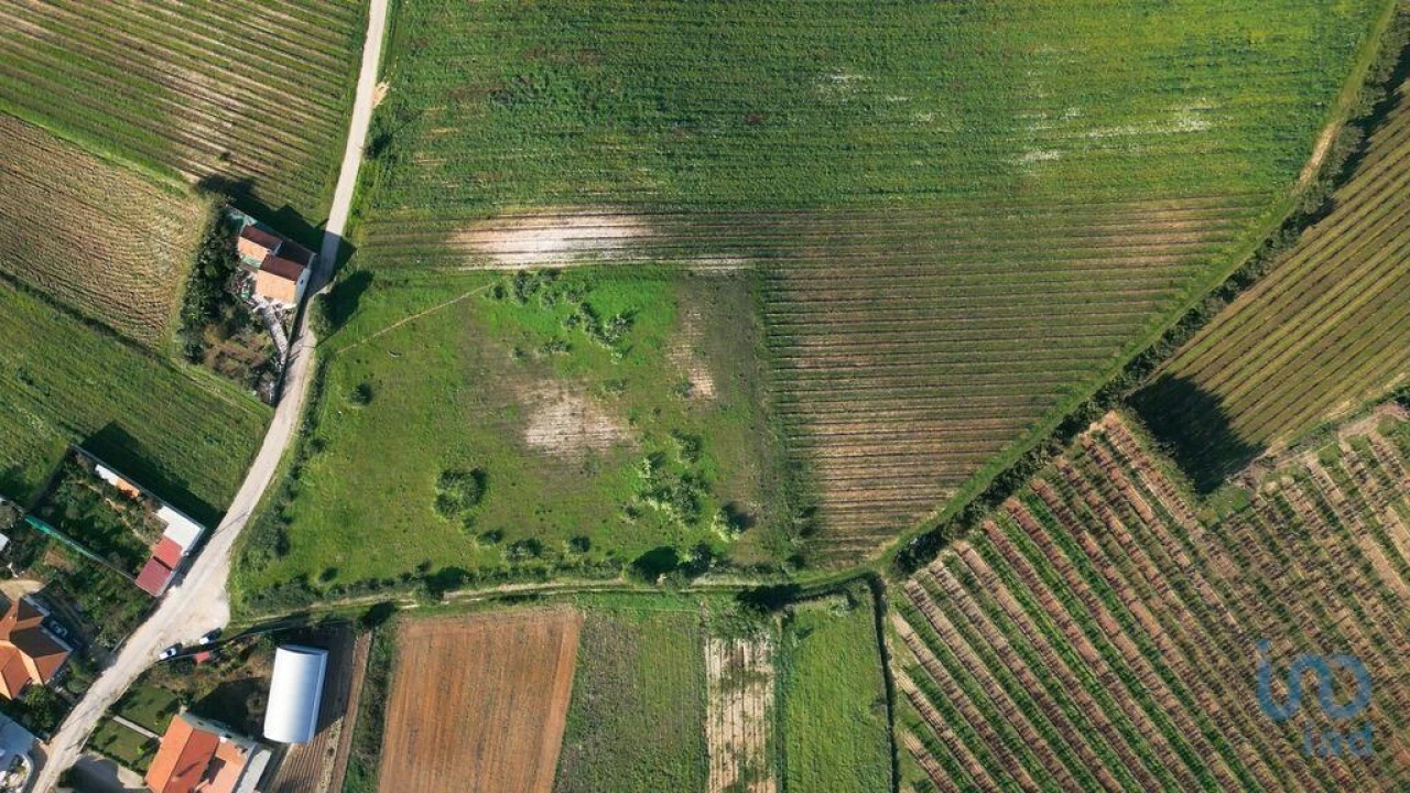 Terreno para Venda em Freiria Foto 10