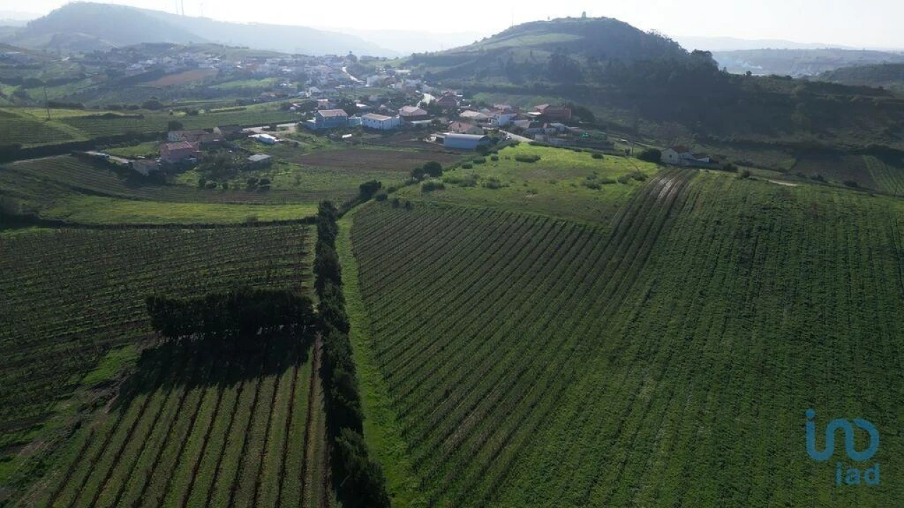 Terreno para Venda em Freiria Foto 8