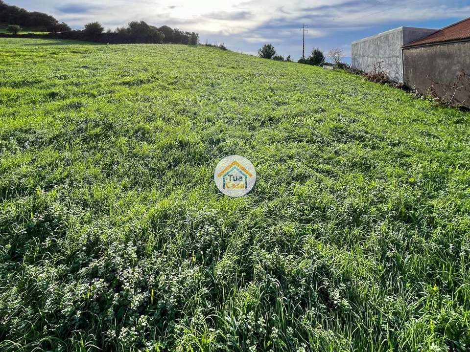 Terreno para Venda em Velas (São Jorge) Foto 12