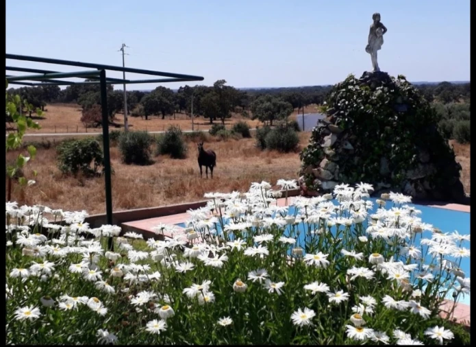 Moradia T3 para Venda em Fortios Foto 3