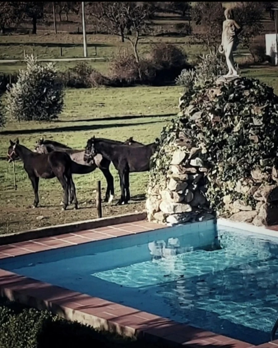 Moradia T3 para Venda em Fortios Foto 7