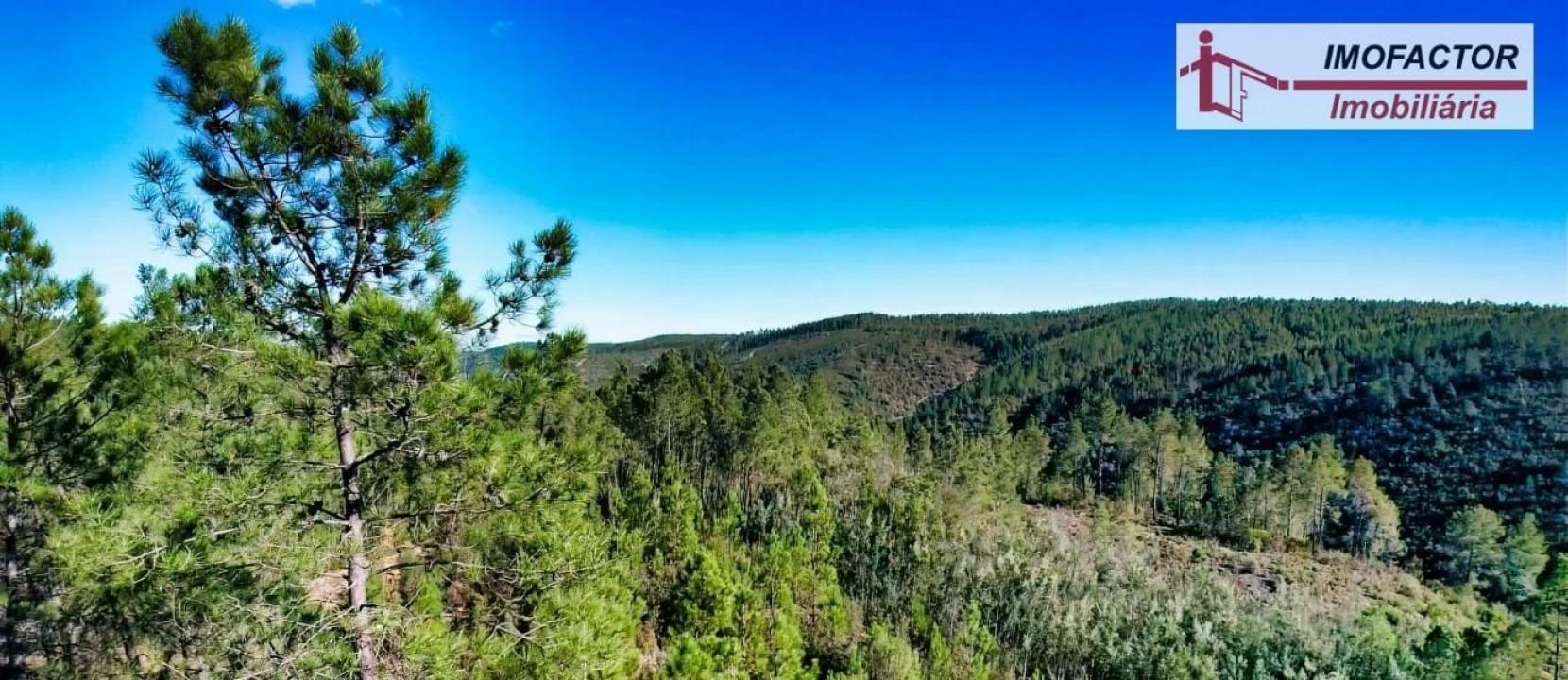 Terreno para Venda em Castelo Branco Foto 20