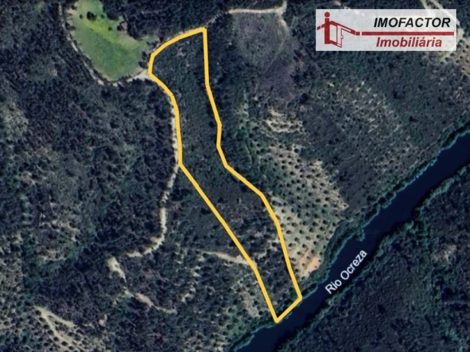 Terreno para Venda em Castelo Branco Foto 19