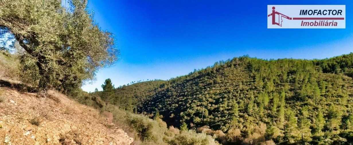 Terreno para Venda em Castelo Branco Foto 22