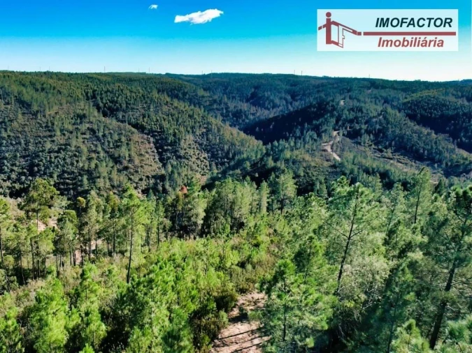 Terreno para Venda em Castelo Branco Foto 17
