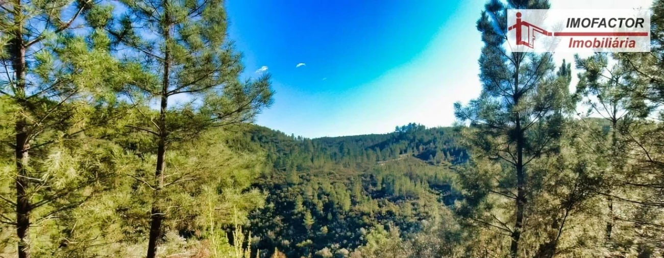 Terreno para Venda em Castelo Branco Foto 23