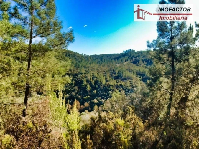 Terreno para Venda em Castelo Branco Foto 5