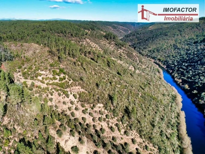 Terreno para Venda em Castelo Branco Foto 4