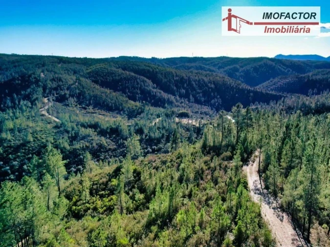 Terreno para Venda em Castelo Branco Foto 7