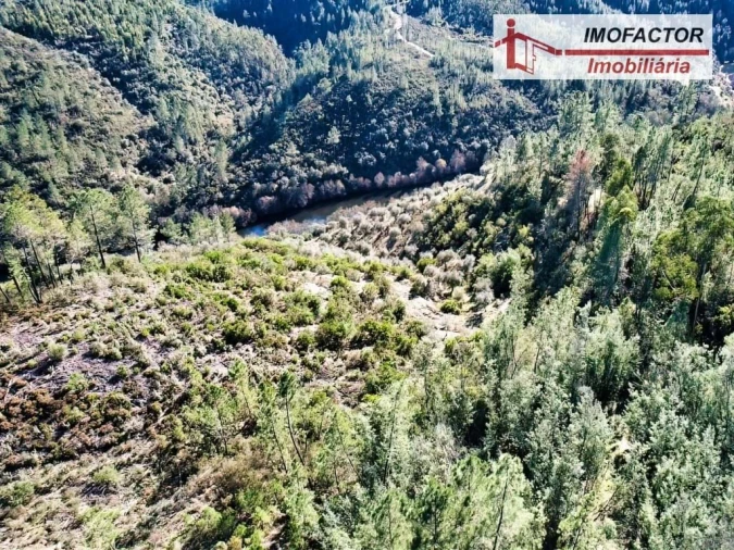Terreno para Venda em Castelo Branco Foto 11