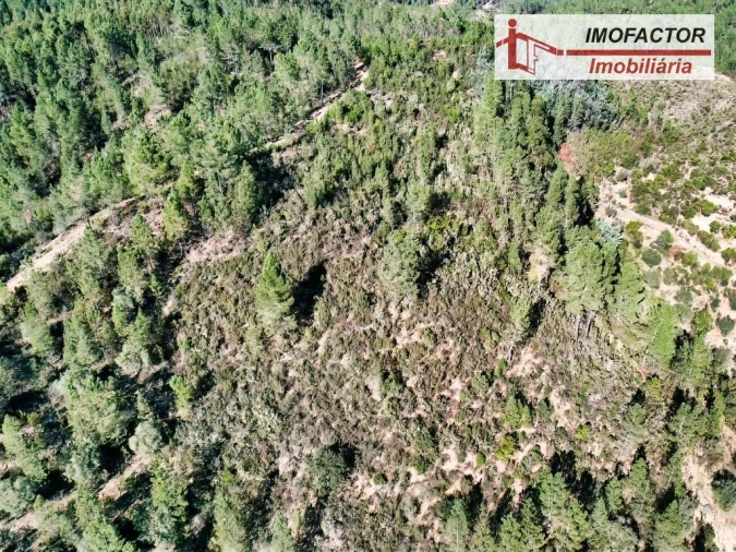 Terreno para Venda em Castelo Branco Foto 10