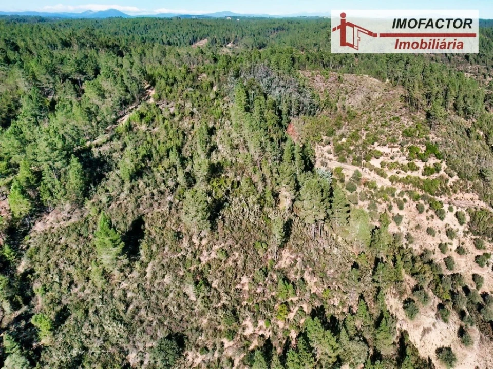 Terreno para Venda em Castelo Branco Foto 9