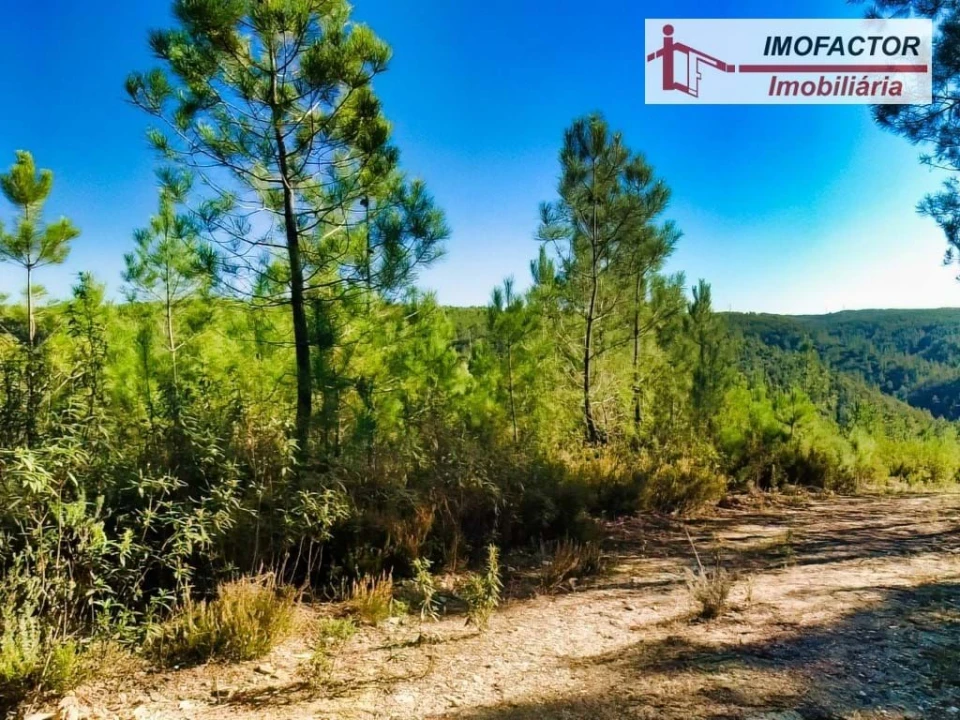 Terreno para Venda em Castelo Branco Foto 6