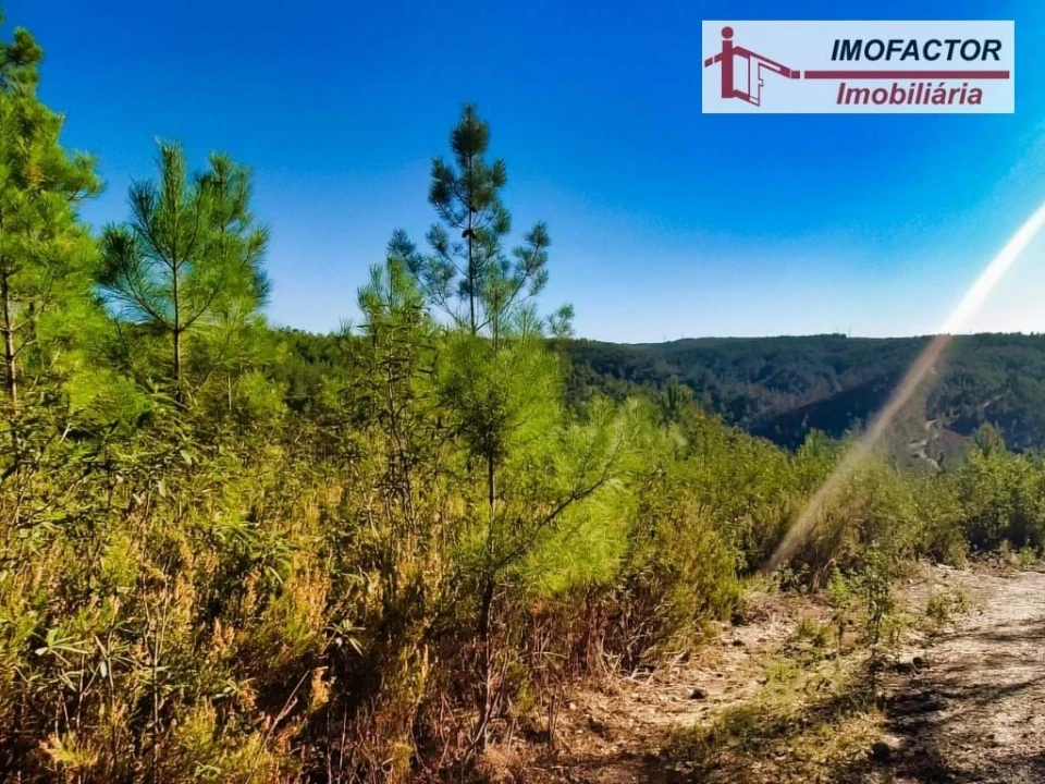 Terreno para Venda em Castelo Branco Foto 15