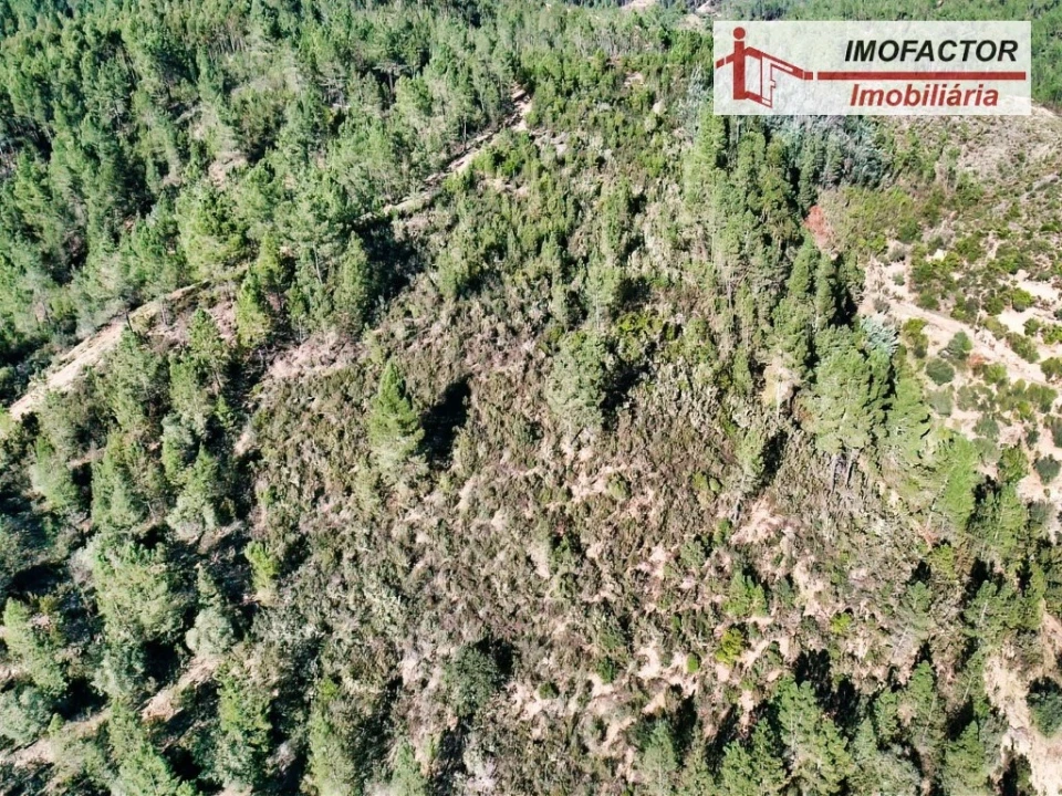 Terreno para Venda em Castelo Branco Foto 10