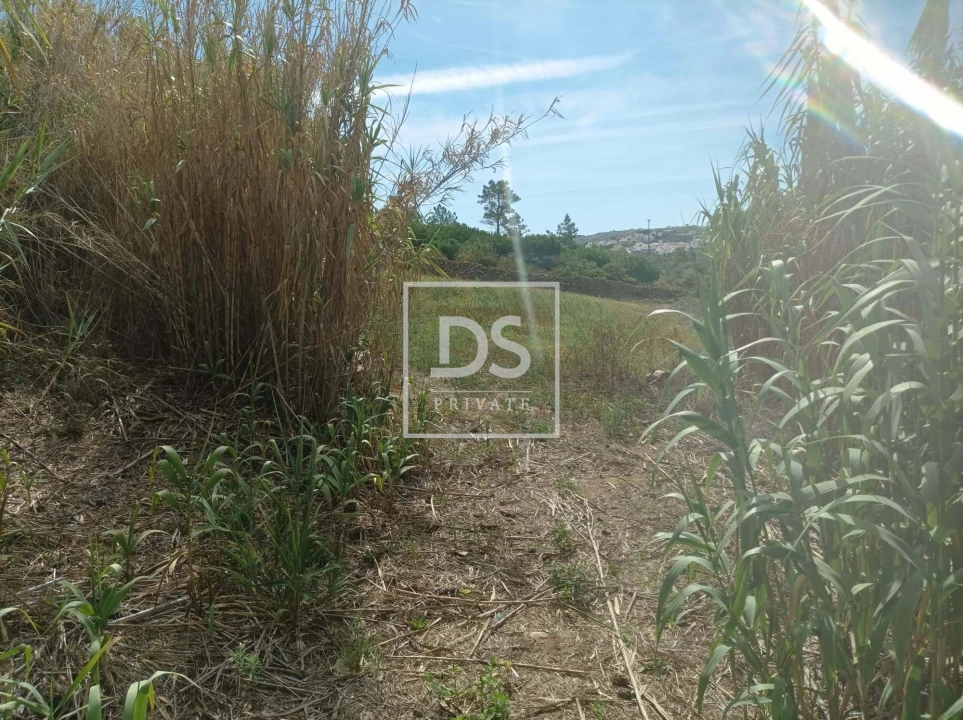 Terreno Agricola ou Rústico para Venda em Carvoeira Foto 2