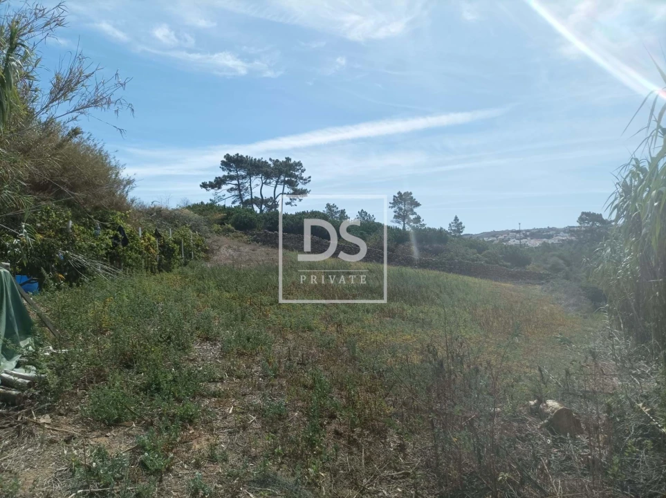 Terreno Agricola ou Rústico para Venda em Carvoeira Foto 4