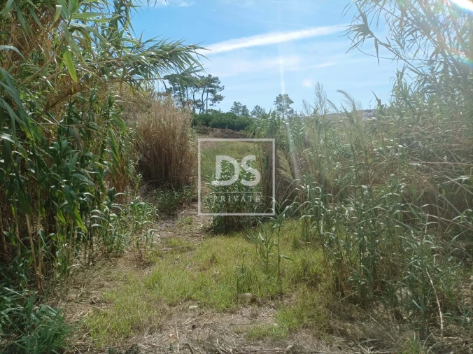Terreno Agricola ou Rústico para Venda em Carvoeira Foto 8