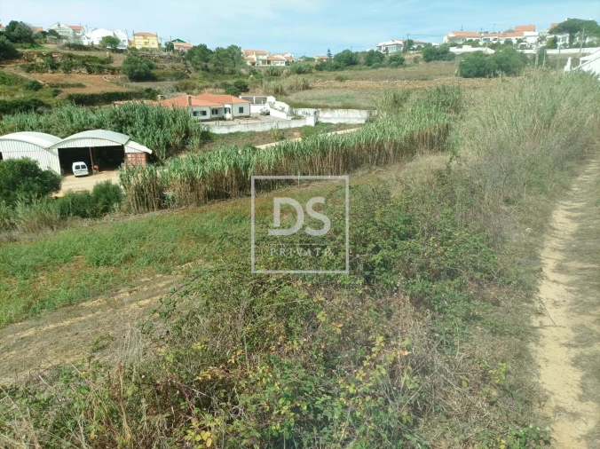 Terreno Agricola ou Rústico para Venda em Carvoeira Foto 5