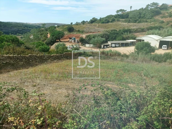 Terreno Agricola ou Rústico para Venda em Carvoeira Foto 7