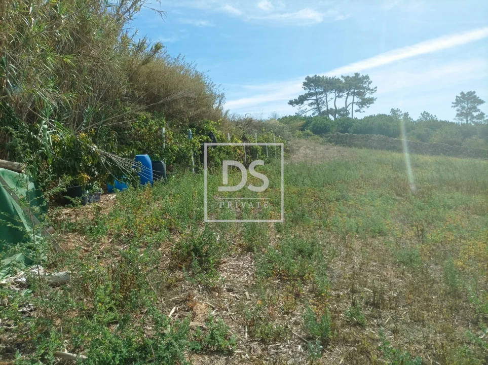 Terreno Agricola ou Rústico para Venda em Carvoeira Foto 3